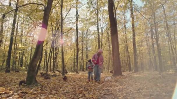 Matka Syn Spacerują Jesienią Lesie Trzymając Psy Smyczy Szczęśliwych Rodzinnych — Wideo stockowe
