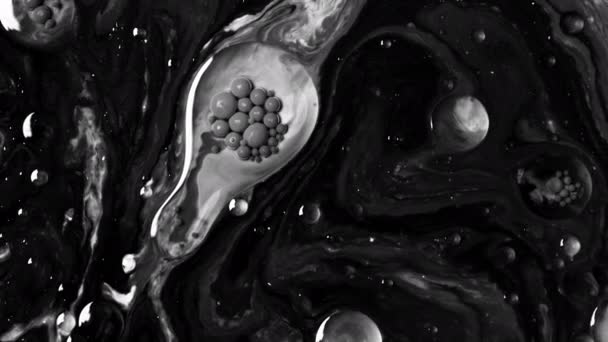 Omfattande Bakterieanalys Laboratorieundersökning Och Undersökning Svarta Cellstrukturer Ren Vit Skärm — Stockvideo