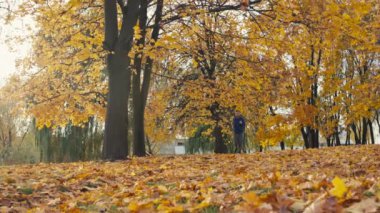 Sonbahar parkında koşan bir çocuk. Bir adam sonbahar mevsiminde sarı yapraklarla koşar. Yüksek kalite 4k görüntü