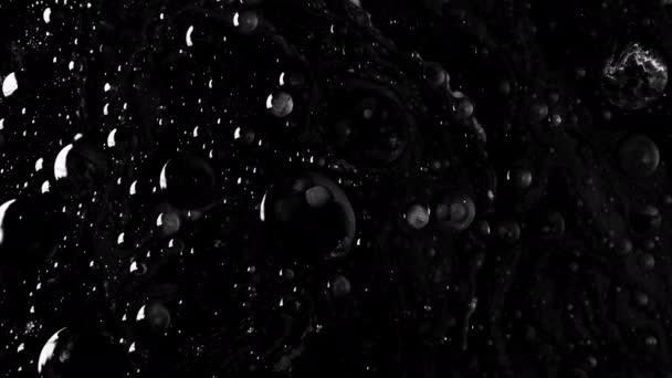 研究实验室图像 白色背景显微镜下的黑色细菌细胞 高质量的4K镜头 — 图库视频影像