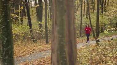 Güz parkında koşan güzel beyaz kadın. Spor ve spor eğitimi aktif bir spor yaşam biçimidir. Yüksek kalite 4k görüntü