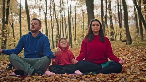 Кавказская Семья Практикует Йогу Осеннем Парке Здоровый Образ Жизни Родителей — стоковое видео