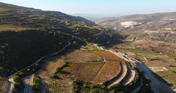 Vineyard Horizons Aerial Sunset Delight Winemaking Cyprus Mountains Inglés Imágenes — Vídeo de stock