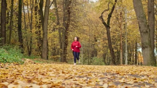 Mujer Caucásica Corriendo Sobre Hojas Amarillas Bosque Otoño Entrenamiento Cardio — Vídeo de stock