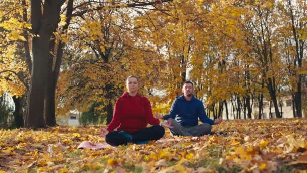 Zen Together Άντρας Και Γυναίκα Διαλογίζονται Ένα Autumn Yoga Sanctuary — Αρχείο Βίντεο