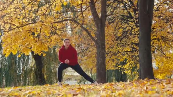 Hareketin Senfonisi Kendinizi Aktif Sonbahar Yaşam Tarzı Renkli Park Çevrelerinde — Stok video