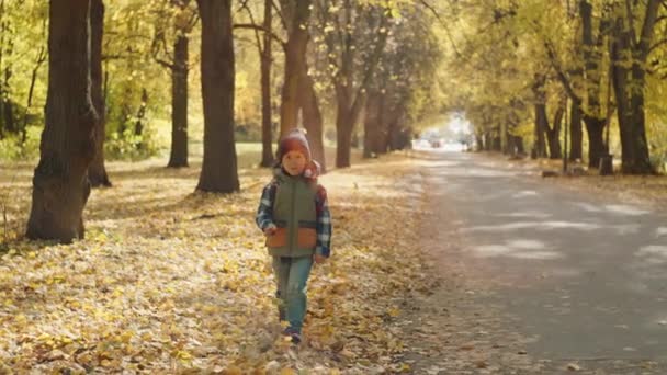Zurück Den Schulabenteuern Freudige Kinderwanderung Durch Die Herbstblätter Zur Begeisterung — Stockvideo