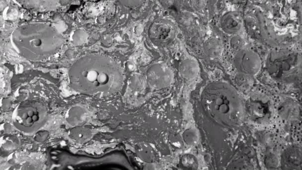Детальна Мікроскопічна Експертиза Чорні Клітинні Структури Аналізовані Білому Тлі Лабораторії — стокове відео