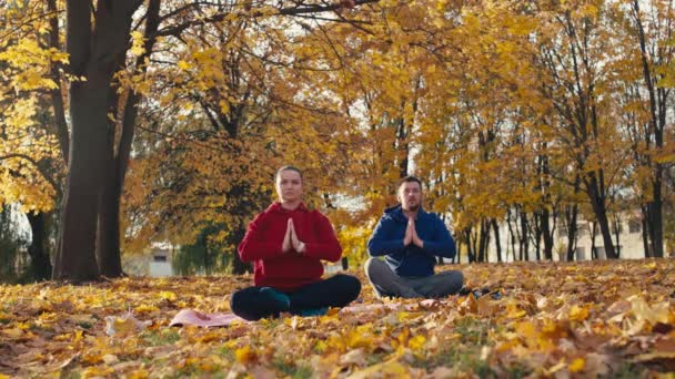 Herbst Fitness Fusion Partnermeditation Und Bewegung Freien Für Einen Dynamischen — Stockvideo