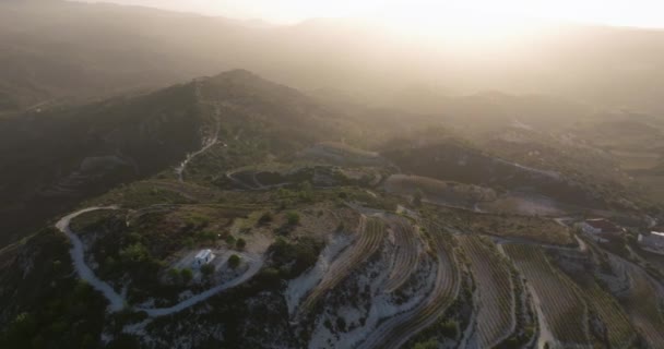Golden Harvest Mornings Drones View Sunrises Vine Laden Hills Inglês — Vídeo de Stock