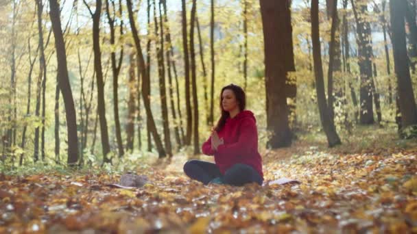 Whispers Autumn Wellness Yoga Meditation Fitness Amidst Natures Spectacle High — Stock Video