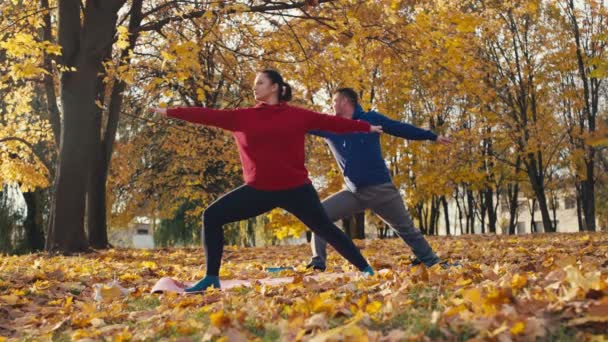 Outdoor Wellness Duo Paren Meditatie Fitness Routine Sereniteit Van Een — Stockvideo