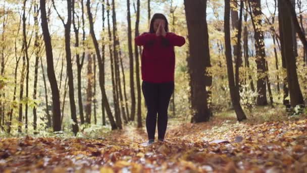 在琥珀树冠下 一个冥想的奥德赛融合健身 瑜伽和Natures交响乐 高质量的4K镜头 — 图库视频影像