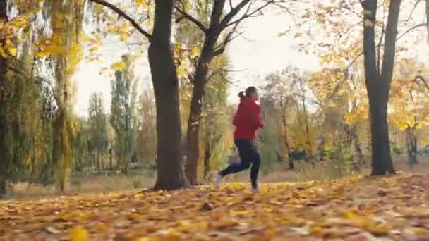 Autumn Runway Beauty Woman Jogging Yellow Leaves Picturesque Fall Park — Vídeo de Stock