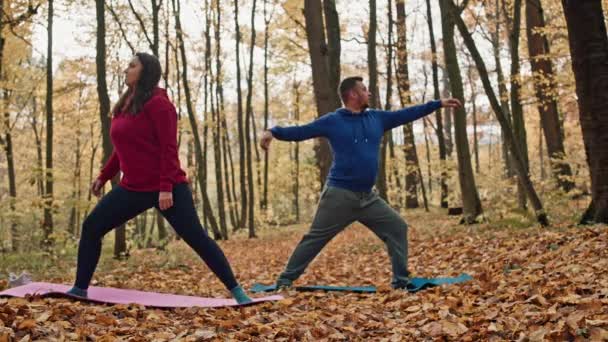 Caucasian Man Woman Doing Yoga Asanas Yellow Autumn Leaves Couple — Stock Video