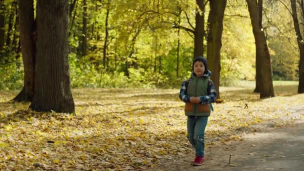 Autumn Education Expedition Happy Backpacker Wybiera Się Szkolne Przygody Wysokiej — Wideo stockowe