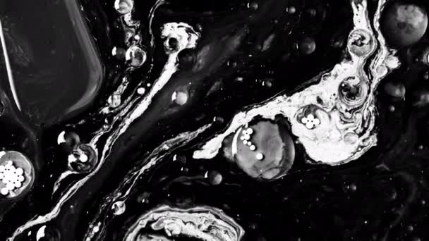 最先端のリサーチラボ画像 顕微鏡下のブラックバクテリア細胞の詳細な分析 特異的な白い背景 高品質の4K映像 — ストック動画