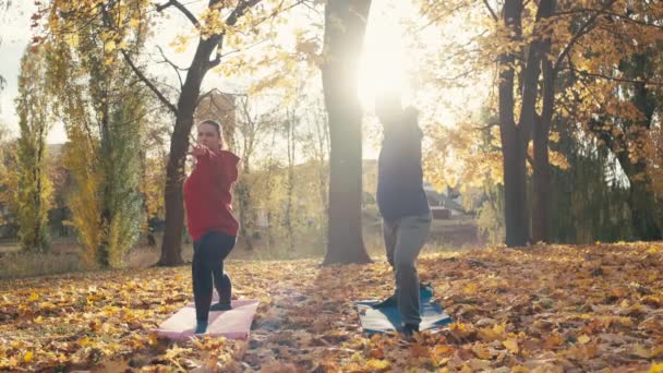 Αρμονία Στη Φύση Ζευγάρι Διαλογισμό Φθινοπωρινό Πάρκο Yoga Clearing Fitness — Αρχείο Βίντεο