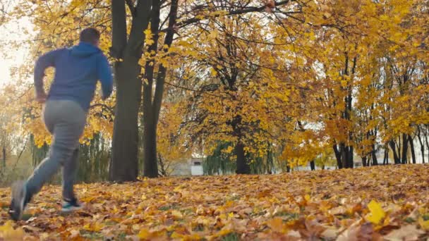 Парень Занимается Фитнесом Спортом Осеннем Лесу Активный Образ Жизни Человека — стоковое видео