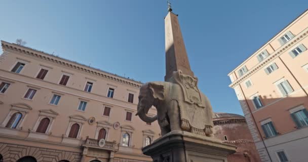 Stadsplein Minerva Plein Piazza Della Minerva Rome Italië Prachtige Architectuur — Stockvideo