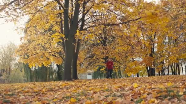 Сквозь Осень Активная Жизнь Великолепной Девушкой Бегущей Желтой Ковровой Дорожке — стоковое видео