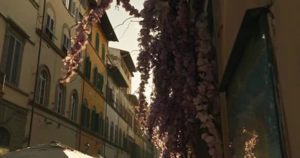 Dusk Представляє Красу Вихідні Втечу Чарівного Туристичного Центру Florences Старі — стокове відео
