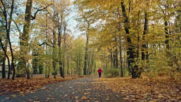 Piękna Biała Kobieta Biegająca Jesiennym Parku Dziewczyna Traci Wadze Podczas — Wideo stockowe