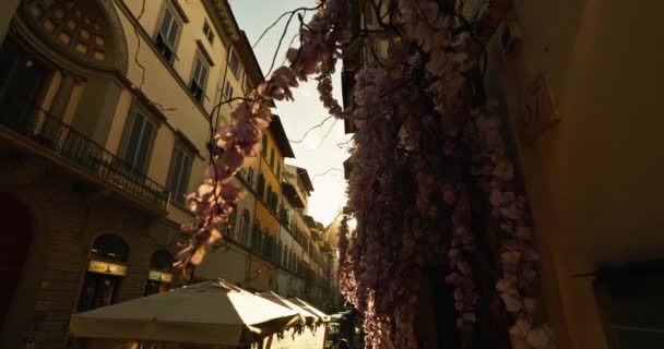 Embracing Golden Hour Tranquil Journey Florences Architectural Gems Historic Tourist — Vídeo de stock