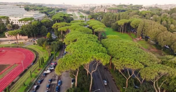 Flygfoto Över Det Nationella Arkeologiska Museet Rom Italien Bad Caracalla — Stockvideo