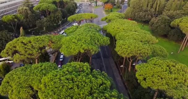 意大利罗马城市景观的空中景观 汽车和公共汽车沿着具有历史意义的街道行驶在道路上的城市交通景观中 高质量的4K镜头 — 图库视频影像