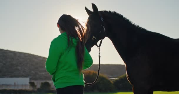 联系的故事 女孩在牧场绿地上牵着马 展示了人类与动物之间的深厚联系 高质量的4K镜头 — 图库视频影像