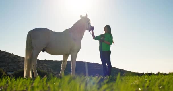 一个漂亮的女人在田野里抚摸和拥抱一匹白马 照看动物的女孩把马拴在大自然的皮带上 高质量的4K镜头 — 图库视频影像