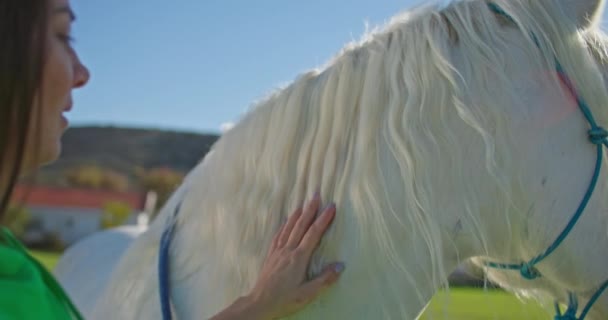 Beauty Equine Companionship Woman Expressing Love Care She Grooms Exercises — Vídeo de stock