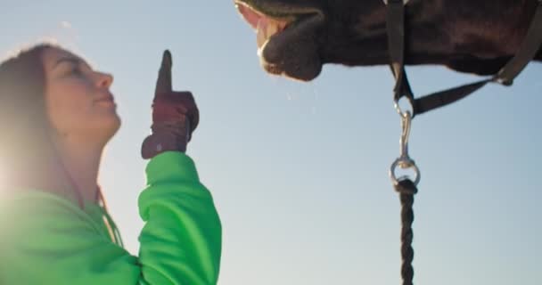Kadın Bir Antrenör Çiftlikte Bir Atla Oynuyormuş Hayvan Insan Gülümsemeleri — Stok video