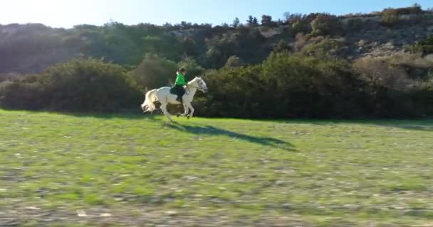 Luftaufnahme Einer Frau Auf Einem Pferd Reiten Ein Jockey Trainiert — Stockvideo