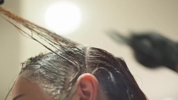 发型师的特写手将油漆涂在客户的头发上 女人的头发在美容院里染发 高质量的4K镜头 — 图库视频影像