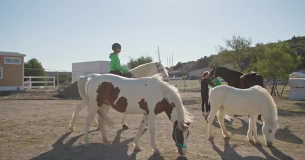 Dziewczyna Jeździ Koniu Farmie Jazda Konna Miłość Zwierząt Szczęście Uśmiechy — Wideo stockowe