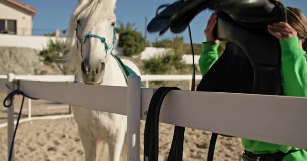Kobieta Bierze Siodło Umieszcza Koniu Ranczu Jazda Konna Miłość Zwierząt — Wideo stockowe