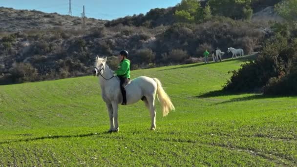 Kobieta Jeździ Konno Pięknym Naturalnym Krajobrazie Dżokej Trenuje Konia Przygotowuje — Wideo stockowe