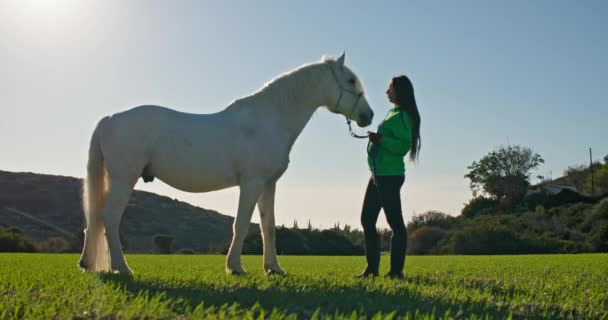 Doğayla Uyum Içinde Kadın Bakım Dış Faaliyetler Yoluyla Atına Duygu — Stok video