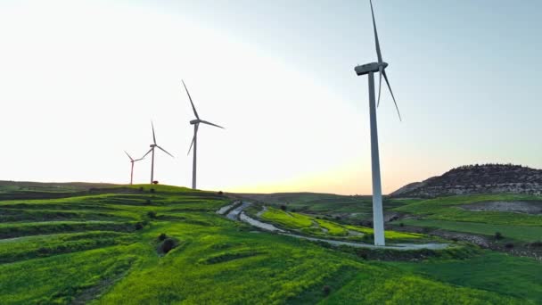 グリーンフィールド上の風車の空中ビュー 美しい自然の風景の中で植物の生態学的な方法で電気の生産 高品質の4K映像 — ストック動画