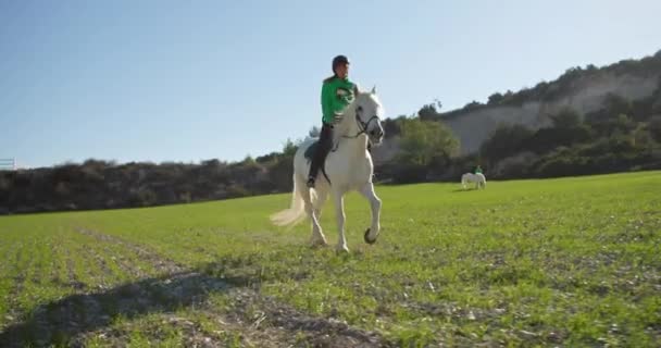 Harmony Nature Girl Riding Horse Ranch Lifestyle Peaceful Horseback Rides — Stock Video