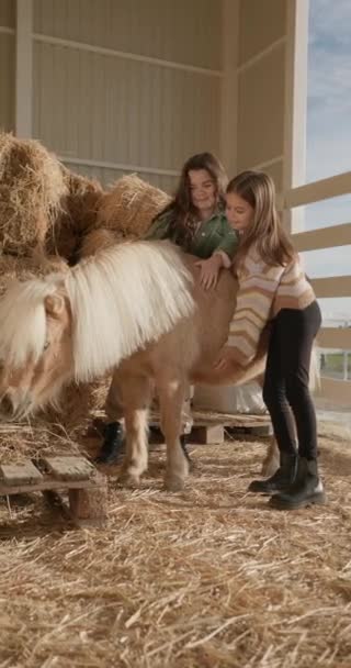 Životní Styl Kavkazské Děti Dívky Objímají Koně Péče Zvířata Farmě — Stock video