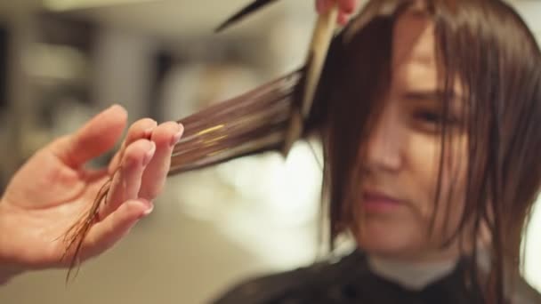 Businesswomans Image Professioneller Haarschnitt Und Haarpflege Schönheitssalon Stilvoller Und Gepflegter — Stockvideo