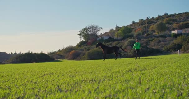 Eine Frau Und Ein Pferd Laufen Über Ein Feld Mit — Stockvideo