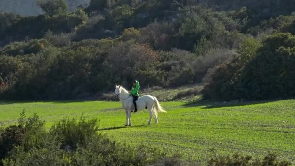 緑の野原で馬に乗るディンカの空中景色 乗馬のライフスタイル 牧場での休暇の笑顔の幸せ 高品質の4K映像 — ストック動画