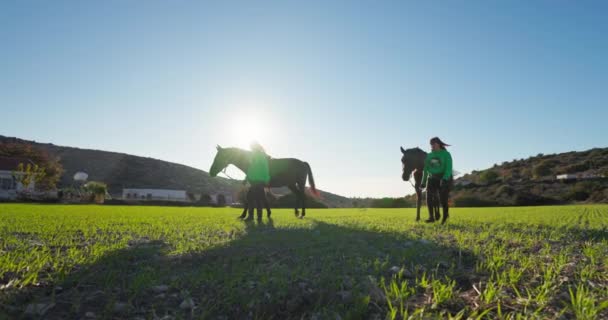 Две Женщины Тренера Выгуливают Лошадей Траве Ранчо Забота Животных Любовь — стоковое видео