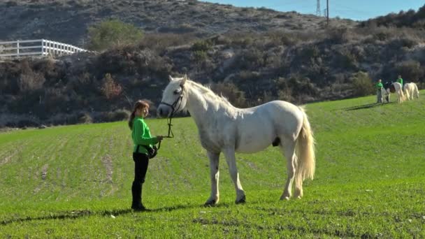 Spojení Milostí Žena Ukazuje Péči Vliv Koně Při Chůzi Spolu — Stock video