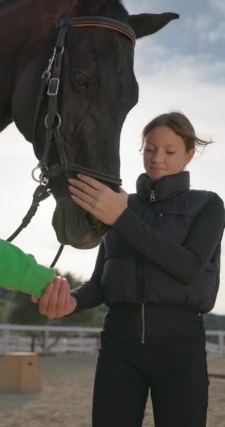 Uczucie Zwierząt Dżokejka Demonstruje Miłość Troskę Pieszcząc Konia Ranczu Ocieplenie — Wideo stockowe