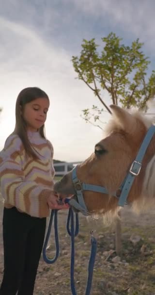 Biała Dziewczynka Karmi Konia Opieka Nad Zwierzętami Farmie Opieka Nad — Wideo stockowe